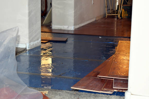 Professional Sewage Cleanup technician working in Round Mountain, TX